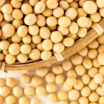 「沼津で健康的なダイエットを目指す女性へ：イソフラボンの正しい摂取法